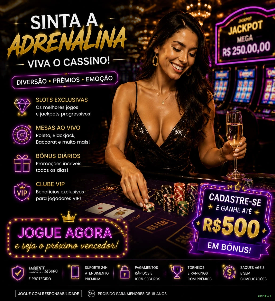 Níveis VIP 6691bet